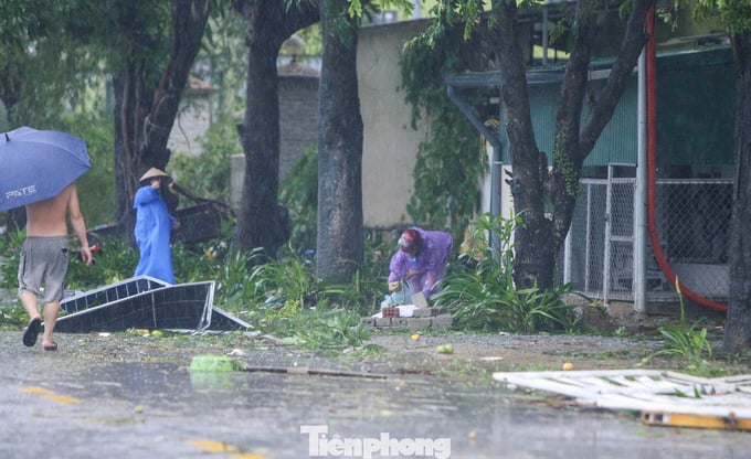 Tại xã Tiên Điền, lãnh đạo địa phương cũng cho biết có hơn 200 nhà dân bị tốc mái, cây cối đổ ngã. Chính quyền và người dân đang khắc phục lại thiệt hại sau bão.