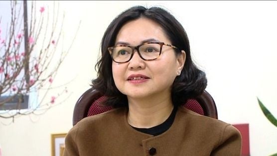Bà Trần Việt Nga, Cục trưởng Cục An toàn thực phẩm, Bộ Y tế, bị khởi tố liên quan vụ án “Đưa hối lộ” và “Nhận hối lộ” xảy ra tại Cục An toàn thực phẩm