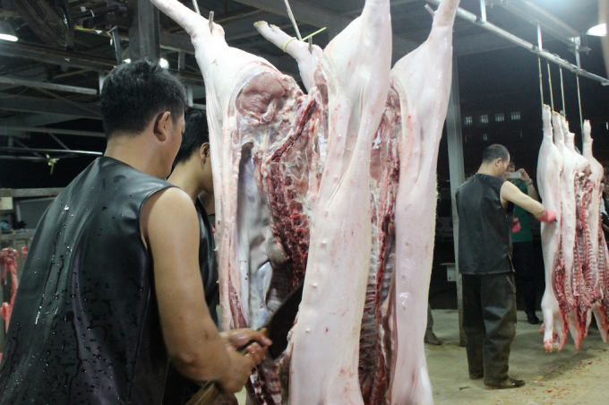 Những ngày qua, giá lợn hơi mua vào tăng cao kéo theo giá lợn móc hàm bán sỉ buộc phải tăng lên 128.000 - 130.000 đồng/kg, tiểu thương buôn lợn ở các chợ truyền thống trên địa bàn Hà Nội, Tp.Hồ Chí Minh kêu trời vì giá thịt lợn đắt đỏ, người tiêu dùng hạn chế chi tiêu hoặc chuyển sang các thực phẩm khác.