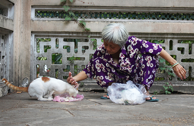Bà Mai thường nhờ những người bạn hàng của mình bán hàng hộ để trộn thức ăn và tìm lũ mèo hoang cho ăn mỗi ngày 2 bữa. Ảnh: Diệp Phan.