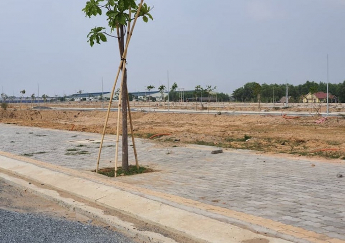 Dù chưa được UBND tỉnh Bình Dương chấp thuận chủ trương đầu tư và giao đất, dự án Khu nhà ở Nam Tân Uyên vẫn công khai làm hạ tầng và rao bán rầm rộ.