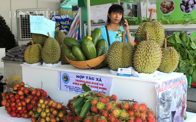 Quầy trái cây của HTX TMDV Nông nghiệp Xuân Định.