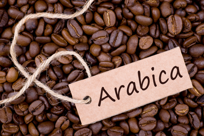 Nếu đang tìm mua cà phê Arabica giá sỉ cho quán, bạn hãy liên hệ với cà phê nguyên chất. Đảm bảo giá cả hợp lý, chất lượng hảo hạng.
