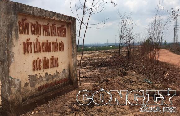 Toàn bộ khu đất ngày xưa phủ xanh đồi trọc giờ chuyển đổi thành khu dân cư