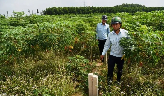 Lực lượng chức năng kiểm tra việc phân lô bán nền trái phép ở phường Tam Phước, TP Biên Hòa.