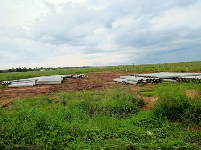 Khu vực dự án Lộc Ninh 1 hiện tại chỉ trồng vài hàng trụ và rải rác ít vật tư (Ảnh: Trần Tú)