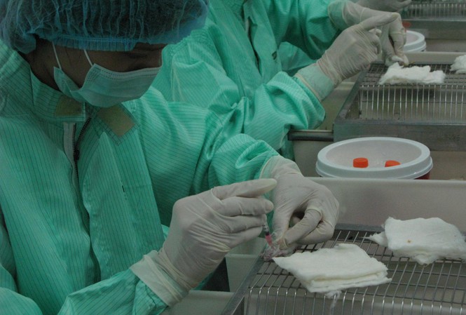 Các nhà khoa học VABIOTECH tiêm thử nghiệm vắc-xin cho chuột