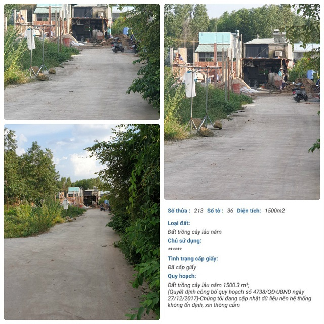 Ấp Tân Cang cũng đang bị băm nát bởi lô nền (Ảnh: HD)