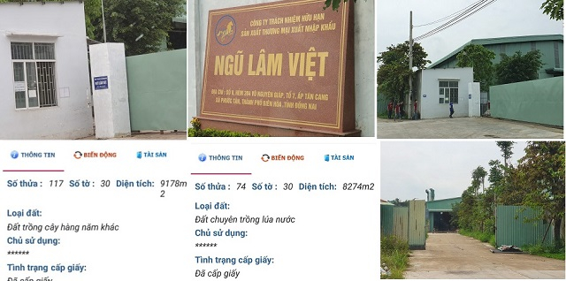 Nhà xưởng trên đất lúa và đất trồng cây hằng năm của ông Vinh (Ảnh: HD)