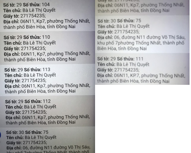 Bà Quyết còn sở hữu hàng loạt thửa đất tại tờ 29 thủa 104, 110, 113, 112, 111… (Ảnh: HD)
