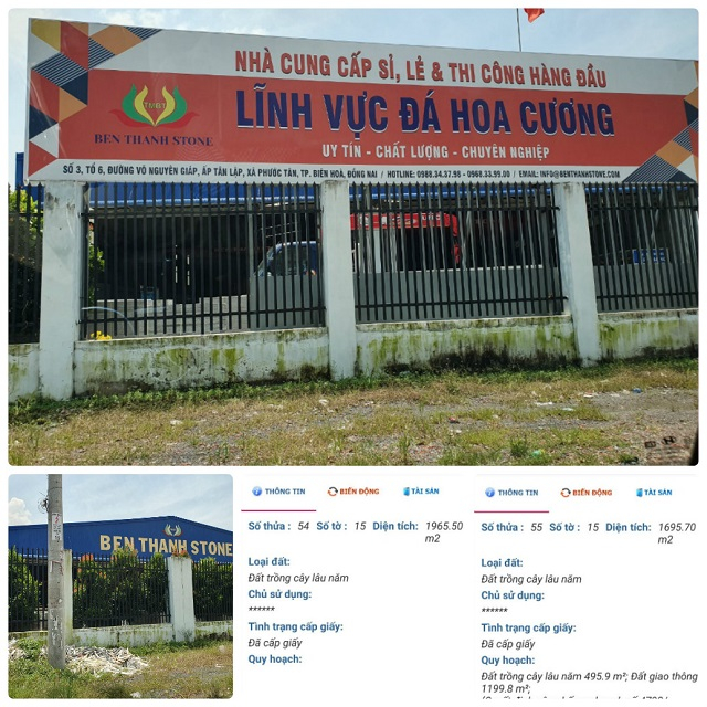Thửa đất 54, 55 là loại đất trồng cây lâu năm (Ảnh: HD)