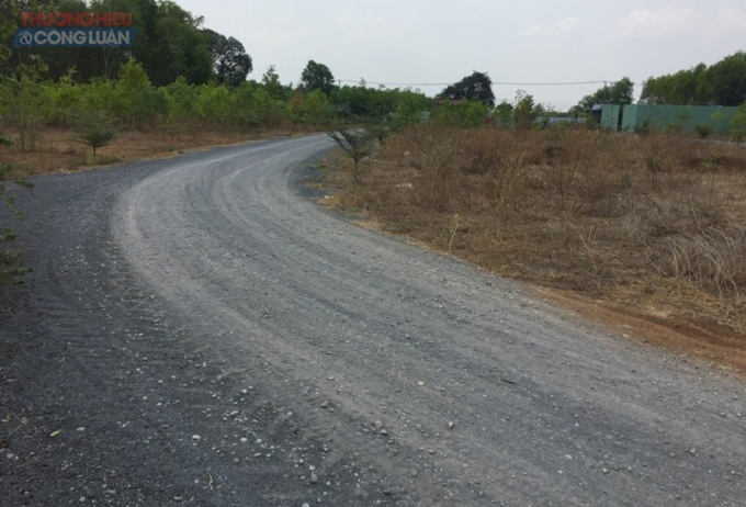 Thửa đất 62, tờ bản đồ số 19 ở ấp Tân Lập là đất nông nghiệp nhưng chủ đầu tư đã làm đường, phân lô để bán (Ảnh: N.D)