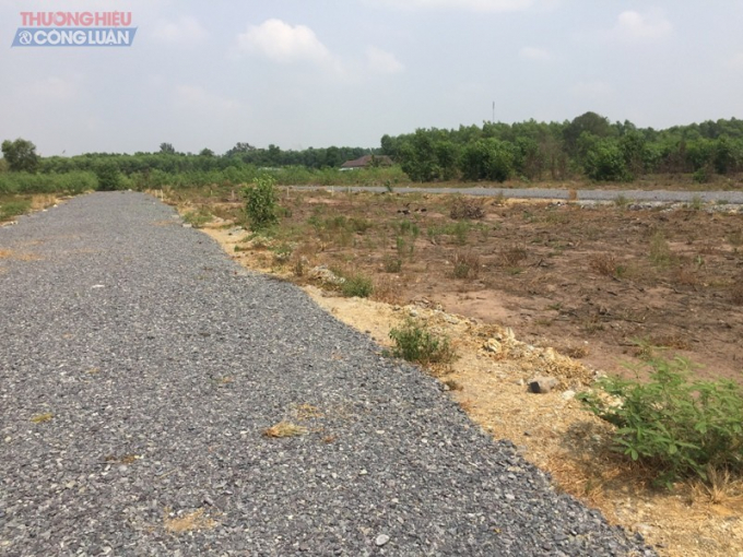 Bất chấp quy hoạch và luật chuyển đổi mục đích sử dụng đất, chủ đầu tư làm đường trên đất nông nghiệp để bán (Ảnh: N.D)