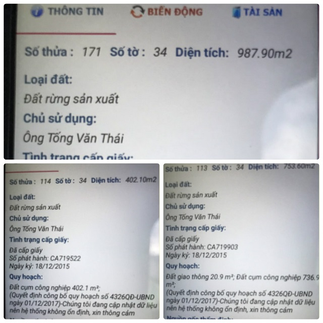 Ông Thái cũng là chủ nhân của nhiều diện tích đất rừng sản xuất khác (Ảnh: HD)