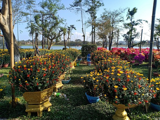 Đã 23 tháng Chạp nhưng chợ hoa Tết bên sông Hương khách vẫn vắng hoe