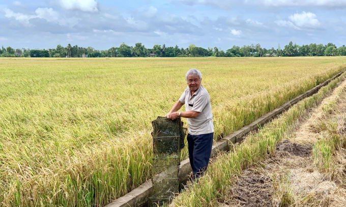 Nông dân HTX nông nghiệp Nam Hưng Bạc Liêu áp dụng kỹ thuật tưới nước ngập khô xen kẽ (AWD). Ảnh: Hữu Đức.