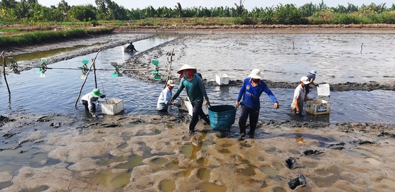 Tăng cường nuôi thủy sản ở ĐBSCL từ nay đến năm 2030 nhằm phục vụ tiêu thụ nội địa và xuất khẩu, tăng thu nhập cho nông dân