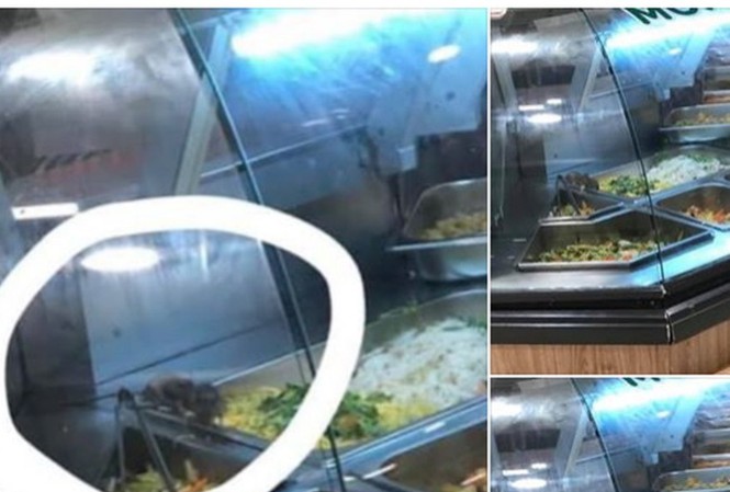 Chuột bò trên khay thức ăn tại khu ẩm thực của Aeon Tân Phú do khách hàng chụp được
