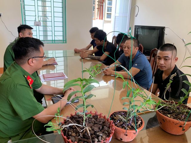 Công an huyện Yên Thủy (Hòa Bình) đã bắt giữ 5 người vì hành vi lừa đảo thông qua hoạt động mua bán hoa lan vào cuối tháng 7/2020. Ảnh: CAND.