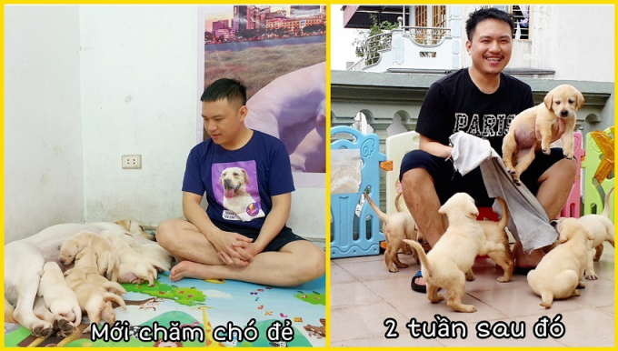Sau thành công với chú chó Củ Cải, anh Cảnh có thêm kênh Youtube mới về các thành viên khác trong gia đình nhà chú chó Củ Cải.
