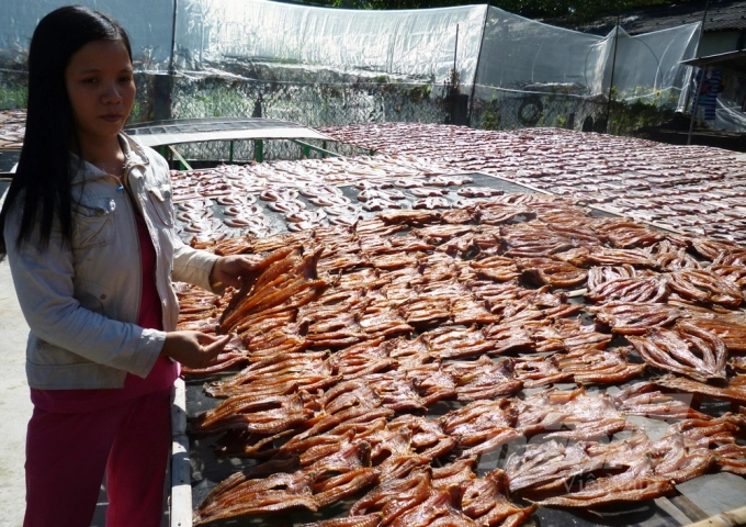 Cá lóc phơi khô. Ảnh: Thành Hiệp.