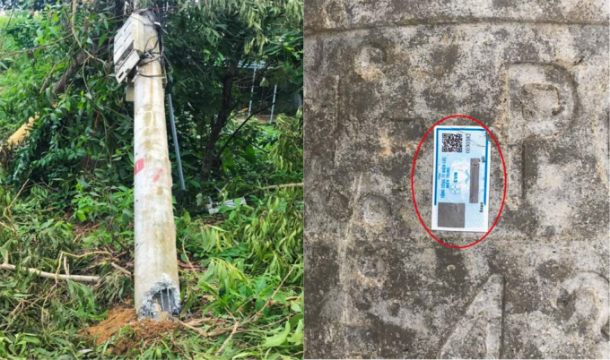 Cơ quan chức năng dán tem (phải) chứng nhận chất lượng nhưng hàng trăm cột điện vẫn bị gãy khi bão số 5 đổ bộ. Ảnh: Điền Quang.