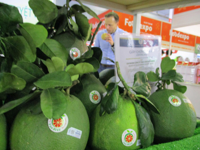 Bưởi tươi Việt Nam có nhiều lợi thế xuất khẩu. Trong ảnh: Nông dân ĐBSCL mang bưởi đến dự cuộc thi trái cây ngon tổ chức tại TP HCM