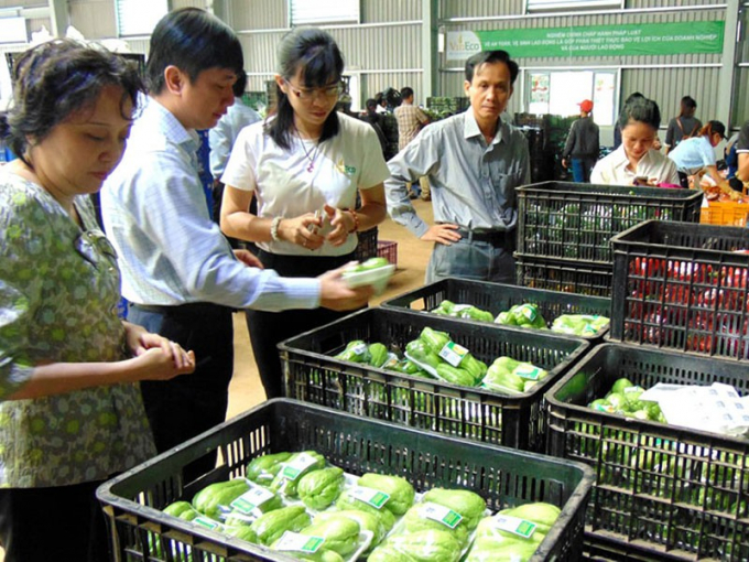 Ban quản lý An toàn thực phẩm TP.HCM khảo sát một cơ sở sơ chế rau, củ nằm trong chuỗi thực phẩm an toàn ở Lâm Đồng. Ảnh: TRẦN NGỌC