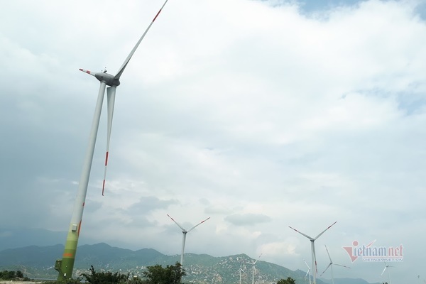 Điện gió cũng đang trải qua giai đoạn bùng nổ ở Việt Nam. Ảnh: Lương Bằng