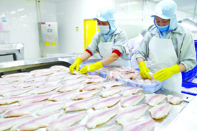 Trung Quốc tăng cường siết thủy sản, trái cây nhập khẩu từ Việt Nam và các nước. Ảnh: QUANG HUY