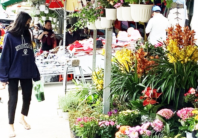 Hoa nở sớm được bày bán với giá rẻ trên đường Nguyễn Thị Minh Khai.