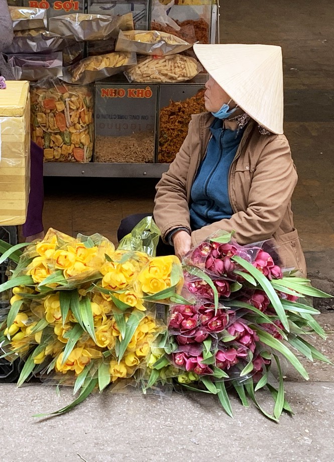 Hoa lan cắt cành được bán với giá rẻ ở chợ Đà Lạt.