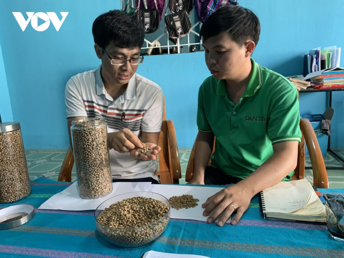 Hợp tác xã Nông nghiệp và Dịch vụ Lam Anh (xã Glar, huyện Đăk Đoa) liên kết được hàng chục hộ dân sản xuất 70 hecta cà phê theo chứng nhận UTZ