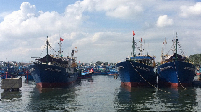 Các tàu vỏ thép 67 của ngư dân Bình Định.