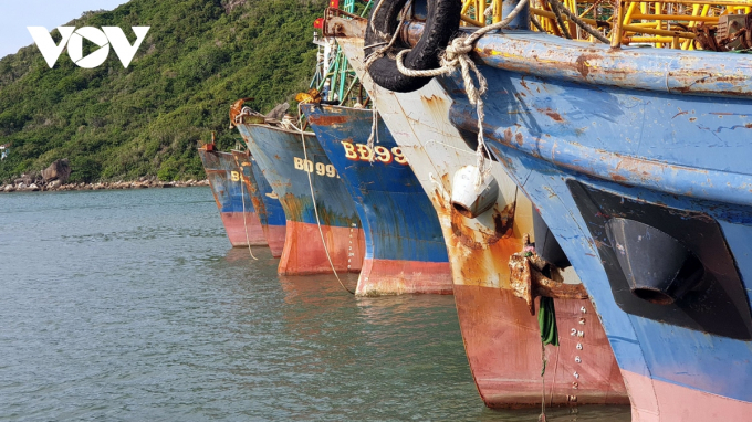 Hàng loạt tàu đối diện nguy cơ nằm bờ do không mua được bảo hiểm.