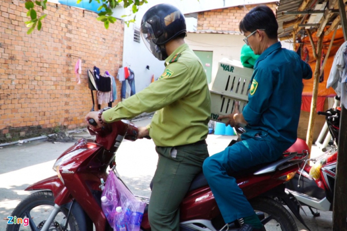 Lực lượng kiểm lâm đưa con khỉ bắt được ra xe chuyên dụng chở về huyện Củ Chi. Ảnh: H.Đ.