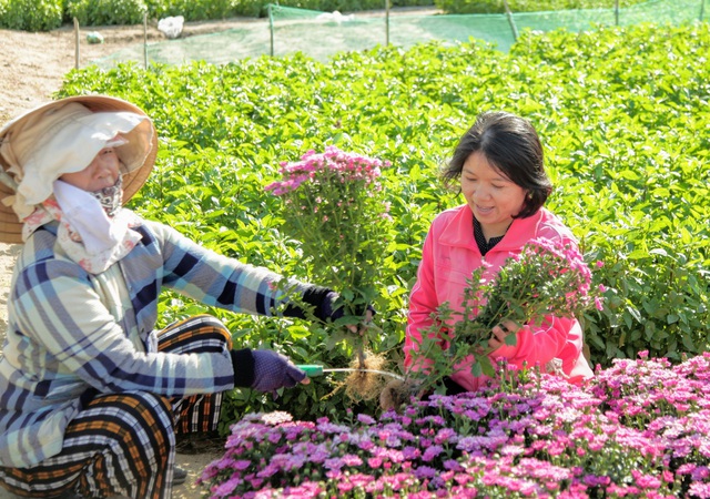 Điều mà người dân làng hoa lo lắng bây giờ chỉ là thời tiết không thuận lợi, khó có hoa đẹp để bán dịp tết