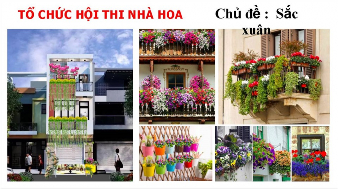 Dãy nhà Bến Bình Đông sẽ trở thành “phố hoa” khi các hộ dân đồng loạt tham gia trang trí, trưng bày hoa Tết. Ảnh: Ban tổ chức cung cấp
