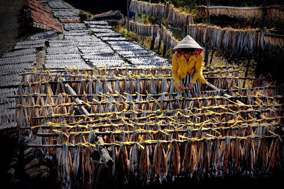 Cá khô ở thị trấn Gành Hào được làm thủ công, phơi nắng để có hương vị thơm ngon đặc trưng truyền thống. Ảnh: DUY NHÂN