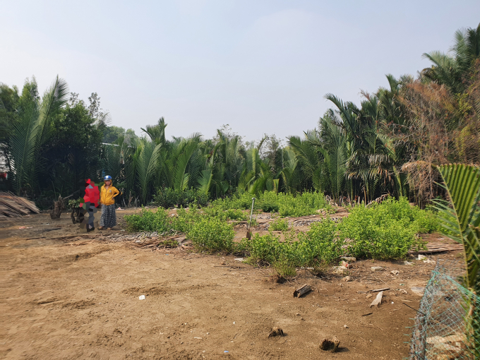 “Cò đất” (áo vàng) đang dẫn khách đi xem đất tại khu vực xã Phước Vĩnh Tây, huyện Cần Giuộc.