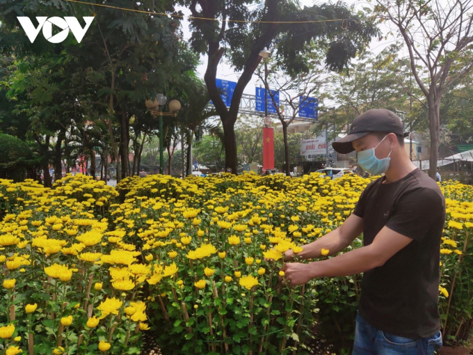 Anh Nguyễn Thành Đạt rất lo lắng vì còn 400 chậu cúc chưa có người mua.