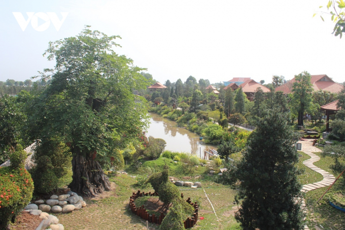 Trang trại kiểng cổ thụ của ông Nguyễn Đăng Khoa tại huyện Tân Phước, Tiền Giang