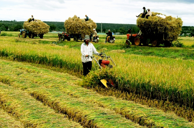 Thủ tướng đồng ý chuyển mục đích sử dụng hơn 21 ha đất trồng lúa tại Cần Thơ