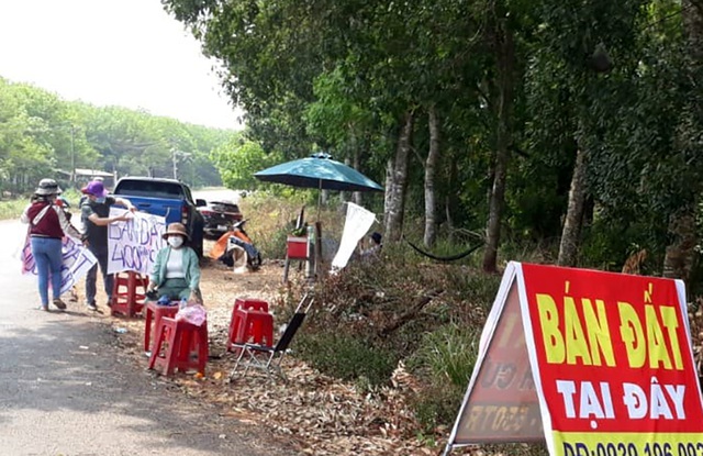 Biển mua bán đất được dựng lên trên tuyến đường liên xã An Khương - Tân Lợi, huyện Hớn Quản.