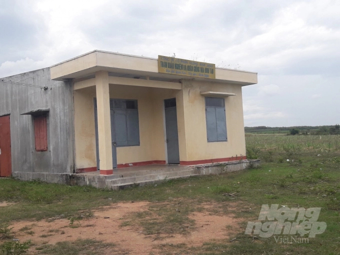Trạm Khảo nghiệm và nhân giống mía Bình Tân. Ảnh: Vũ Đình Thung.