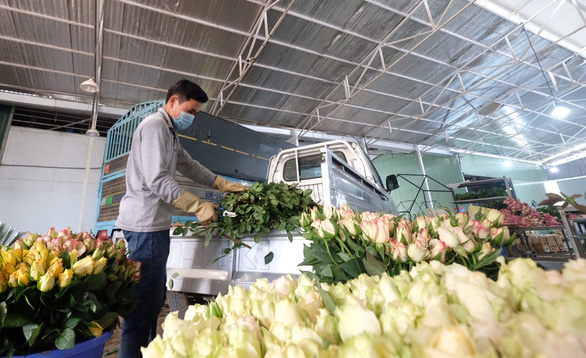 Nông dân làng hoa Vạn Thành, Đà Lạt sơ chế hoa chuyển đi TP.HCM - Ảnh: ĐỨC THỌ