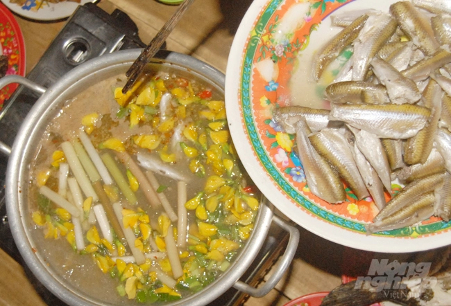 Lẩu chua cá linh bông điên điển ở Đồng Tháp đã lọt vào Top 100 món ăn đặc sản Việt Nam. Ảnh: Lê Hoàng Vũ.
