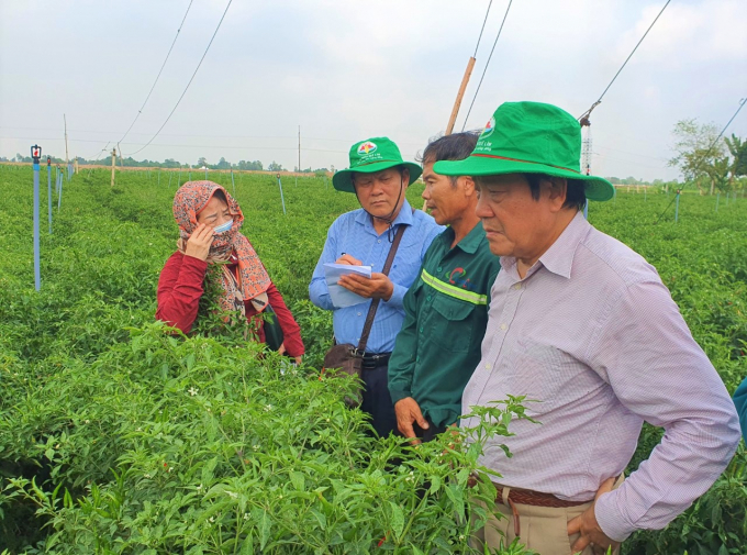 Tập đoàn Quế Lâm sẽ thực hiện mô hình và hướng dẫn phổ cập về việc làm mô hình nông nghiệp hữu cơ; tập huấn kỹ thuật nhằm thay đổi nhận thức về sản xuất nông nghiệp hữu cơ cho nông dân, đào tạo cho cán bộ của tỉnh về sản xuất nông nghiệp hữu cơ và hợp tác phát triển thị trường. Ảnh: Hoàng Anh.