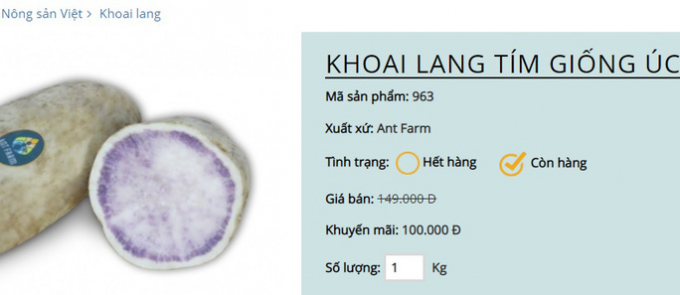 Khoai lang tím giảm giá sâu vẫn còn giá 100.000 đồng/kg