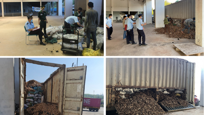 Lực lượng chức năng ở Của khẩu Quốc tế Lao Bảo đang kiểm tra lô hàng gỗ dăm bên dưới giấu hơn 24 tấn nghi là than đá xuất lậu sang Lào.